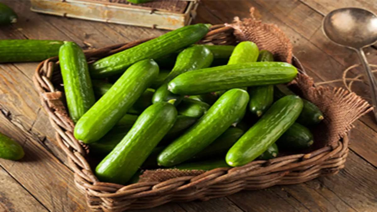 Refreshment: Exploring the Benefits of Consuming Cucumber in Summer