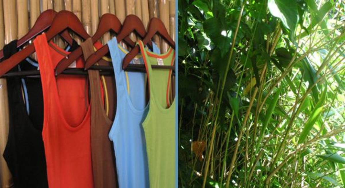 Embracing Sustainability: Exploring the Best Brands for High-Quality Bamboo Clothing